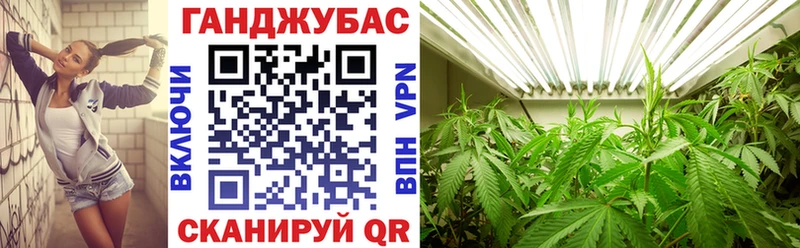 Магазины продажи наркотиков Гвардейск Alpha-PVP  АМФЕТАМИН  ГАШ  Мефедрон 