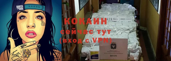 кокс Алексин