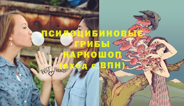 ALPHA PVP Алексеевка