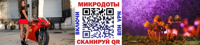 хочу наркоту  Гвардейск  Галлюциногенные грибы MAGIC MUSHROOMS 