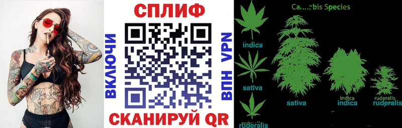 купить   Гвардейск  Конопля Ganja 